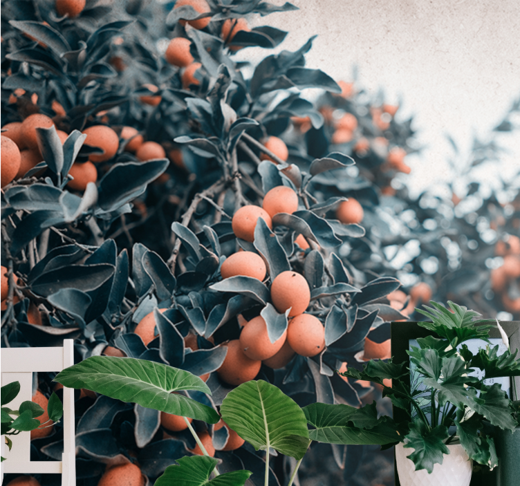 Fototapete blumen zitrusfruchtzweig - TenStickers