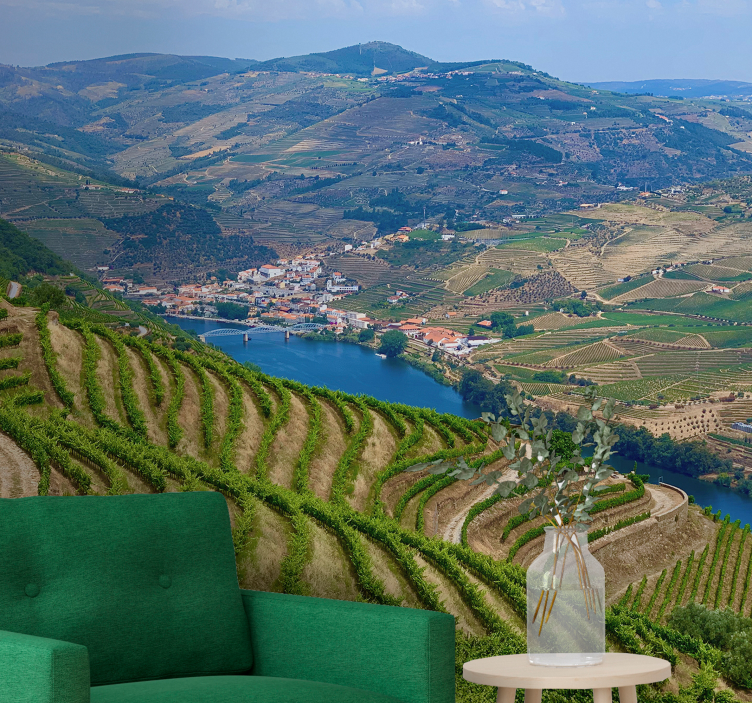 Fototapete Landschaft weinberg tal fluss - TenStickers