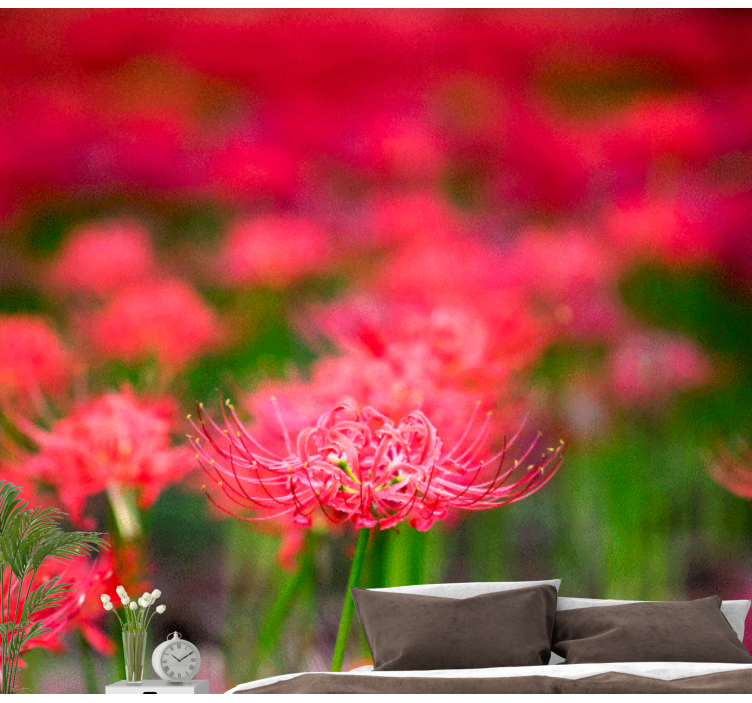 Fototapete mohnblumen lebendige karmesinblüten - TenStickers