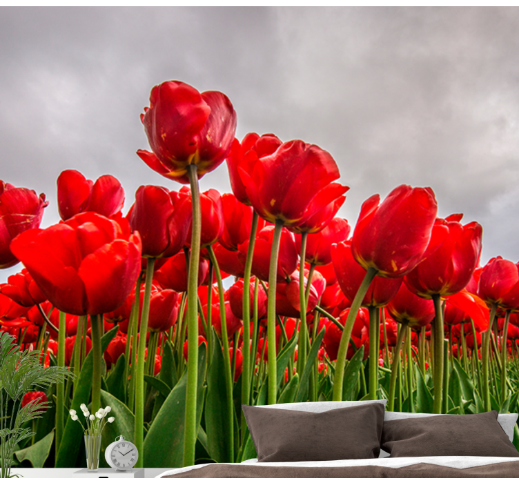 Fototapete Mohnblumen rotes tulpenfeld - TenStickers