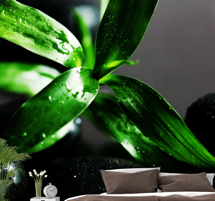 Fototapete natur frische blatttextur - TenStickers