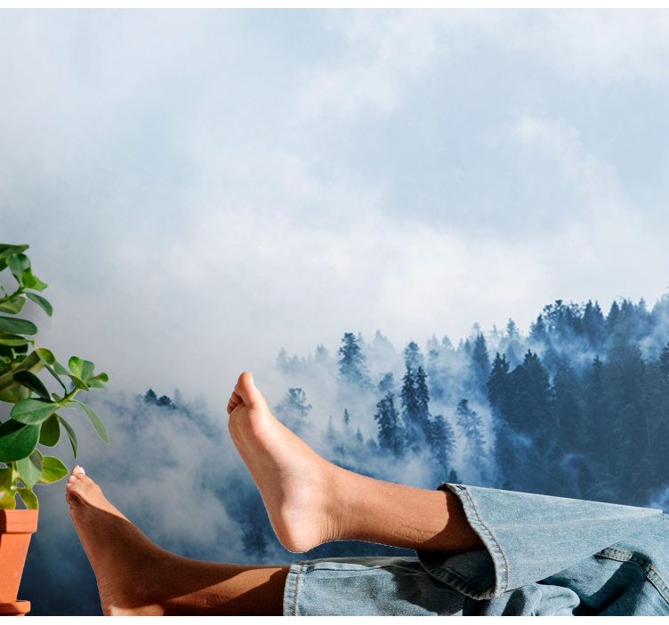 Fototapete natur nebelwald landschaft - TenStickers