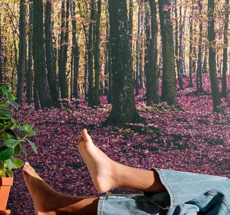 Fototapete natur ruhige waldszene - TenStickers