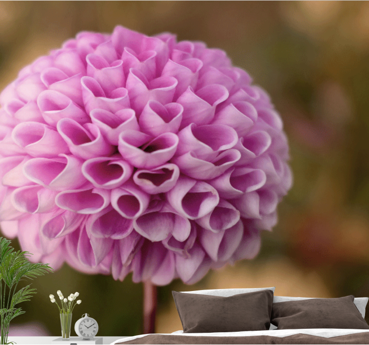 Fototapete Liebe Elegantes liebesherz rosa blumen - TenStickers