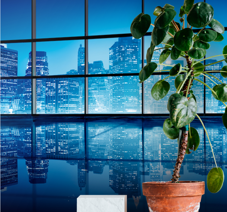 Fototapete städte nächtliche stadtlandschaft reflexion - TenStickers