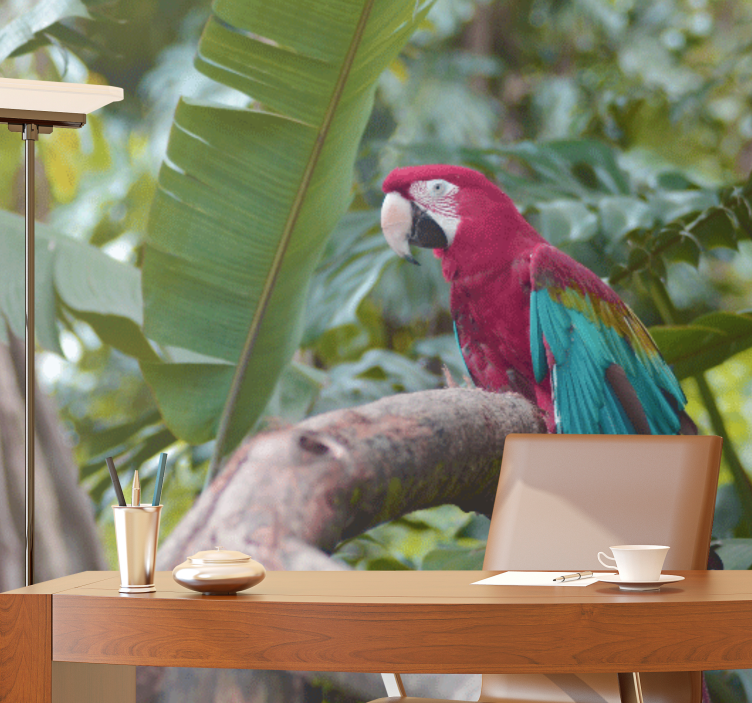 Fototapete tiere bunter ara papagei - TenStickers