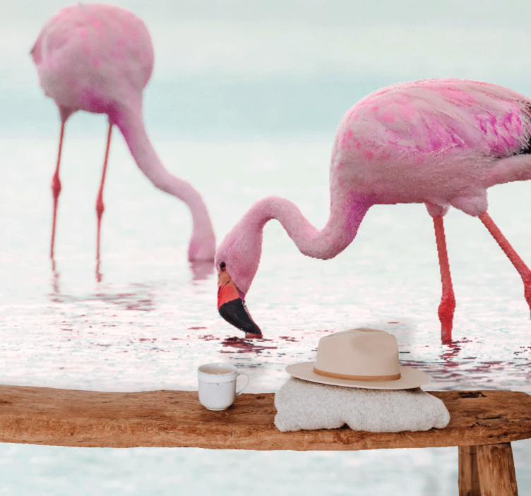 Fototapete tiere flamingos beim füttern - TenStickers