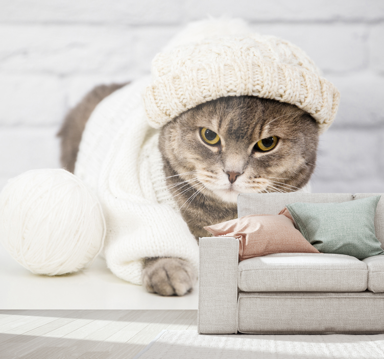 Fototapete Tiere kuschelige strickkatze - TenStickers