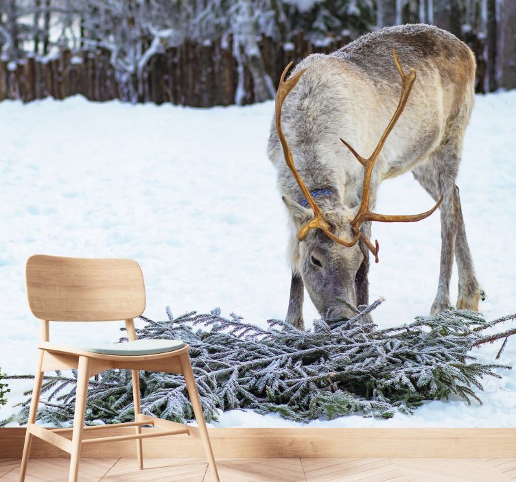 Fototapete Tiere rentiere im schnee - TenStickers