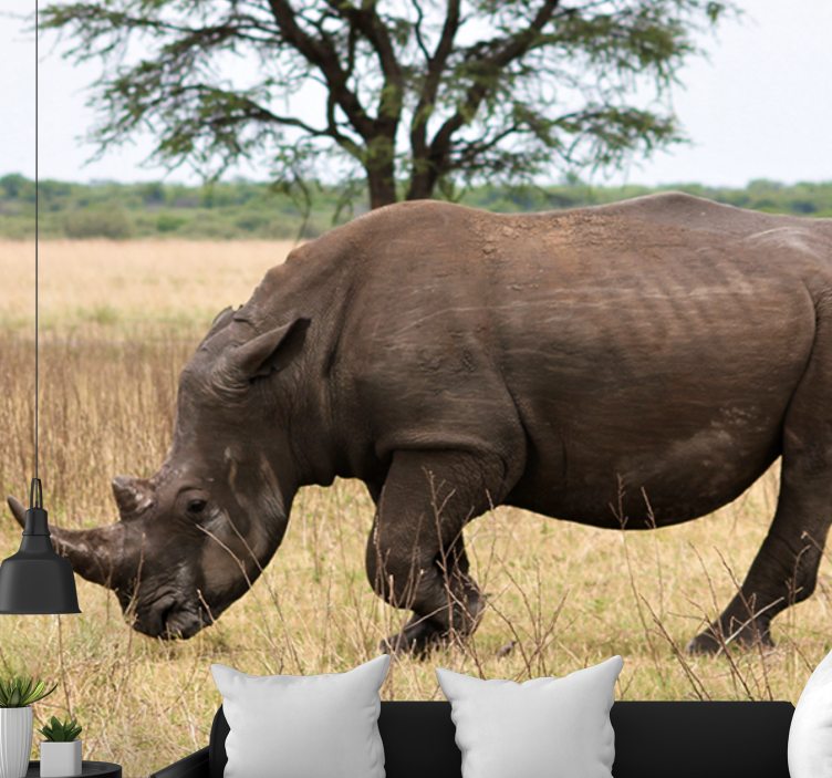 Fototapete tiere rhino gnaden der serengeti - TenStickers