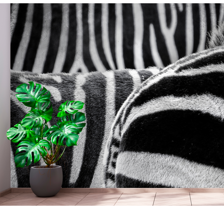 Fototapete Tiere realistische zebrastreifen - TenStickers