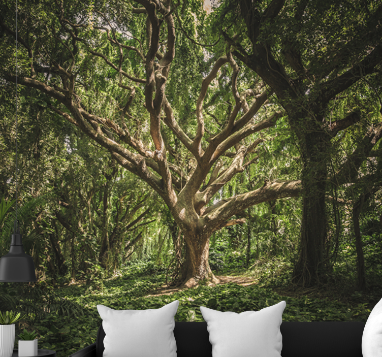 Fototapete wald majestätisches blätterdach - TenStickers