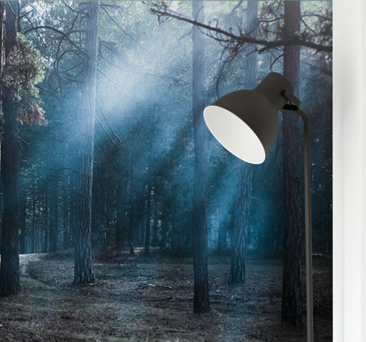 Fototapete Wald neblig nebligen weg - TenStickers