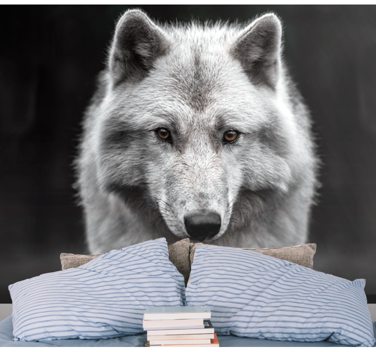 Fototapete Tiere Weißer wolf - TenStickers