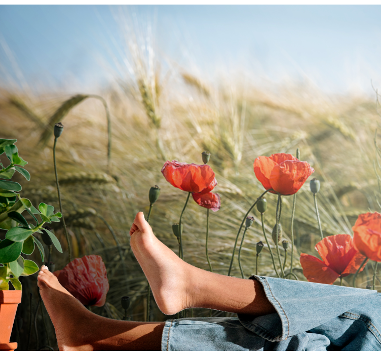 Fototapete Natur Mohn im sommerweizen - TenStickers