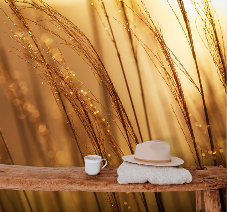 Fototapete Natur Warmes pampasgras - TenStickers