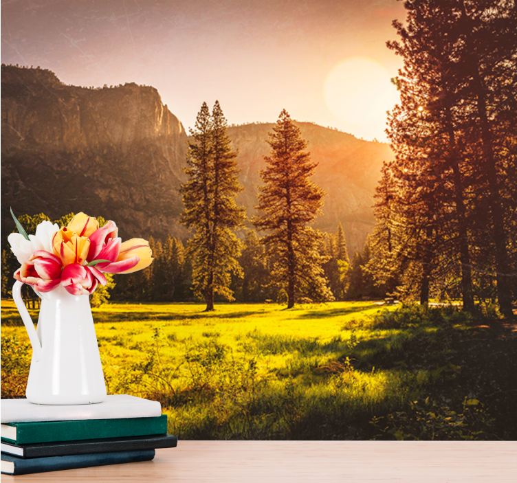 Fototapete Wald Sonnenuntergang hinter den bäumen - TenStickers