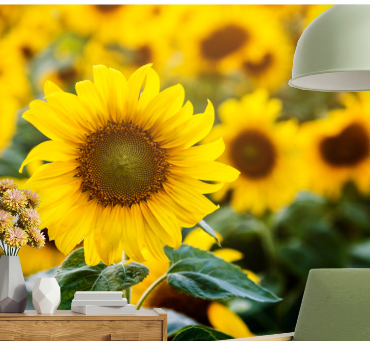 Fototapete Andere Blumen Sonnenblumenfeld hautnah - TenStickers