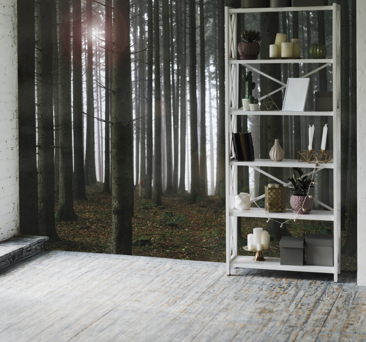 Fototapete Wohnzimmer neblige waldszene - TenStickers