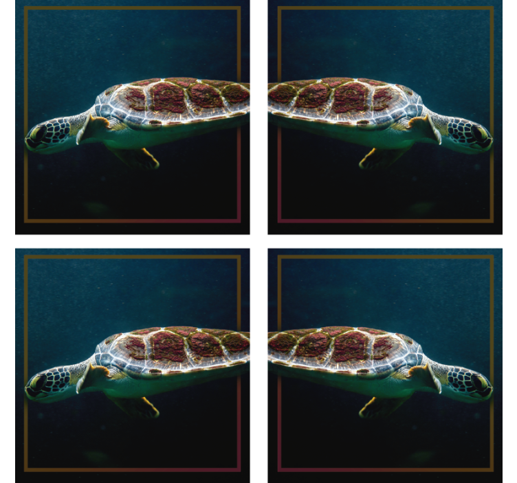 Schwimmende Schildkröte Tier Untersetzer - TenStickers