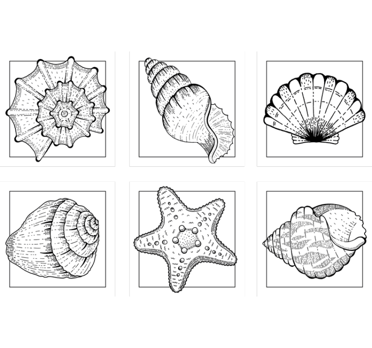 Untersetzer Meerestiere Meereslebewesen und muscheln fliesen - TenStickers