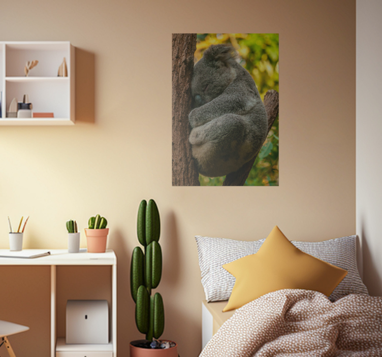 Poster Teenagerzimmer koala schlafend - TenStickers