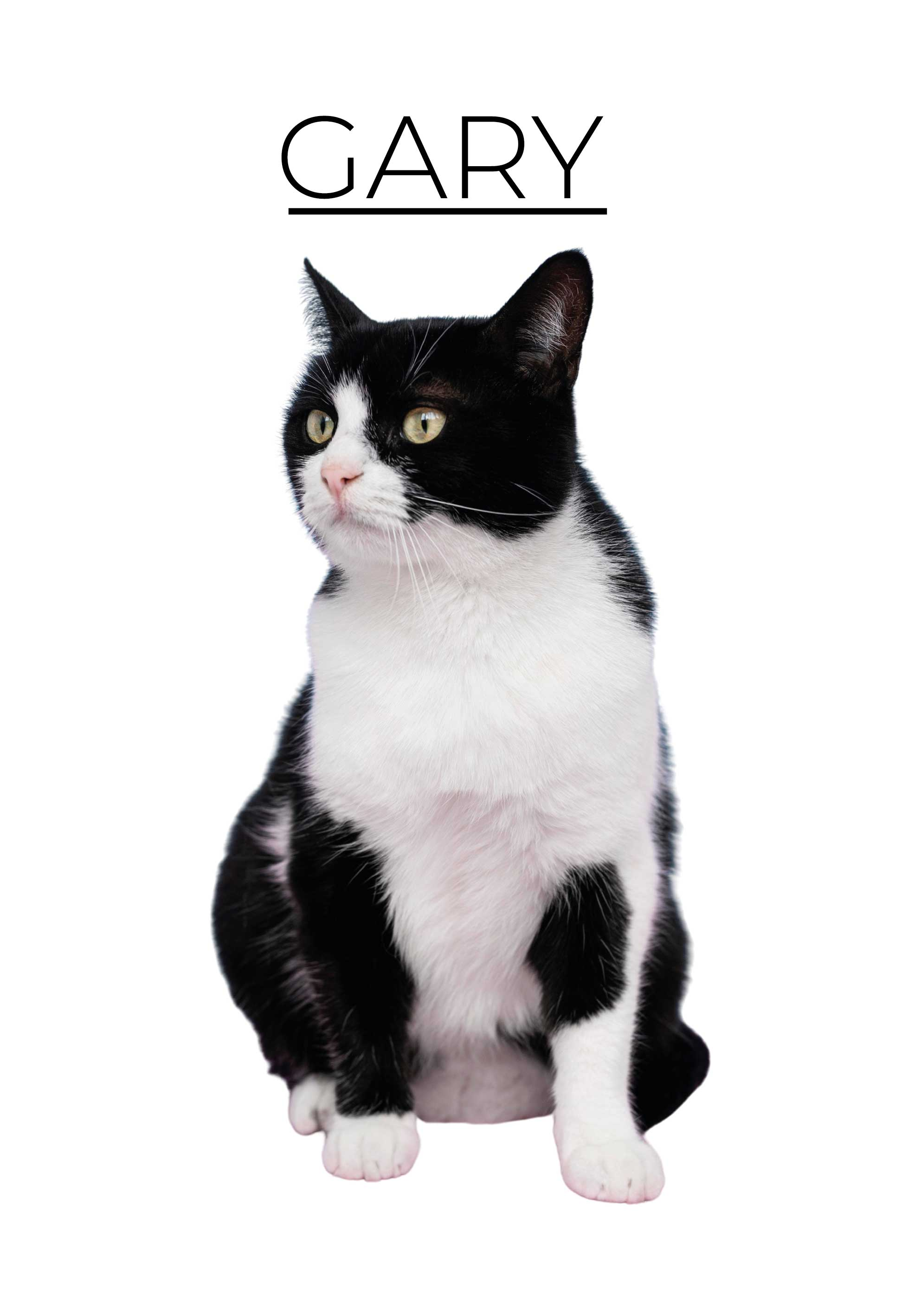 Poster sonstige Tiere personalisierter minimalist - TenStickers