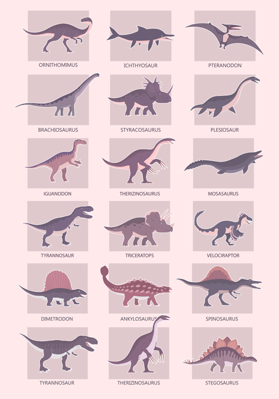 Poster Dinosaurier verschiedene typen - TenStickers