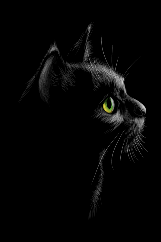 Poster wohnzimmer mit grünen katzenaugen - TenStickers