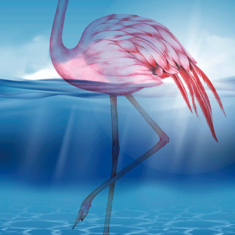 Poster wohnzimmer unterwasserdesign flamingo - TenStickers