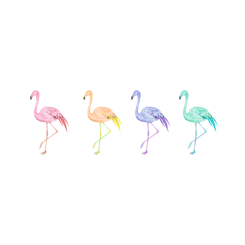 Poster wohnzimmer bunte nahtlose flamingos - TenStickers