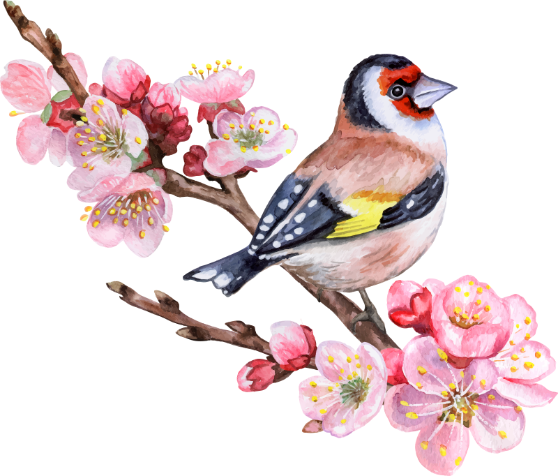 Poster baum mit frühlingshaften zweigen und vögeln - TenStickers