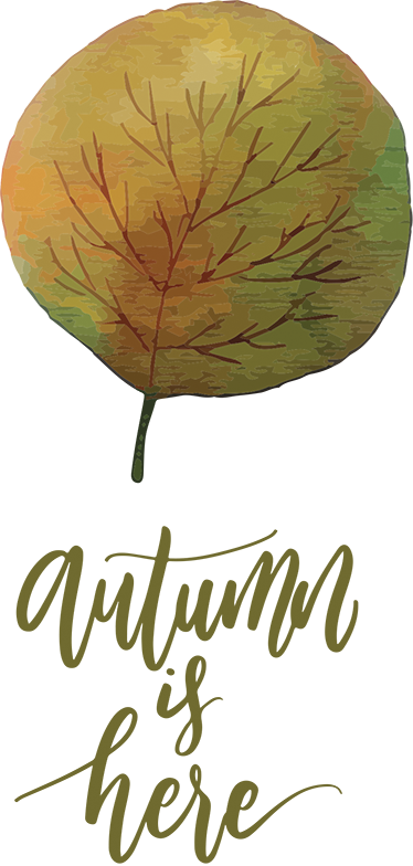 Poster baum vinilos herbst der ist hier - TenStickers