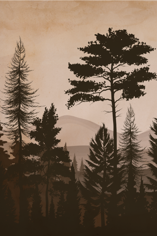 Poster baum im skandinavischen stil warmfarbiger wald - TenStickers