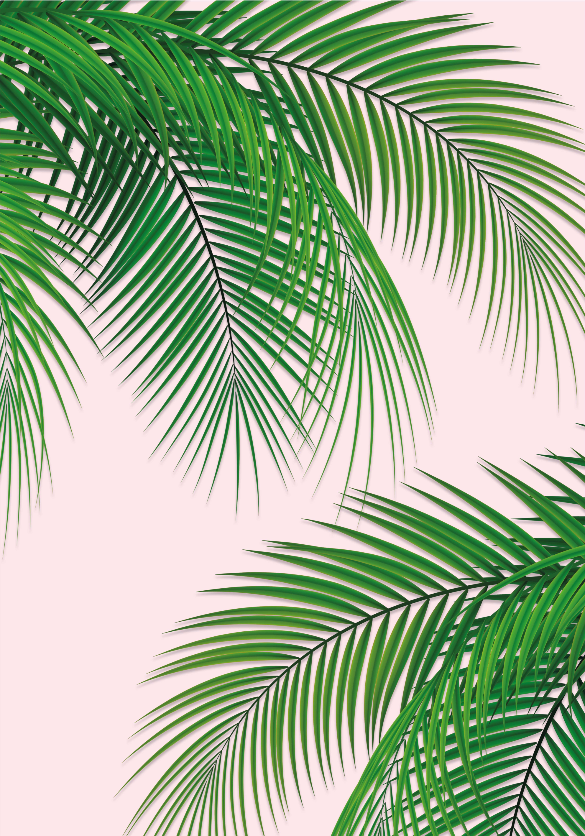 Poster baum mit tropischem blatt - TenStickers