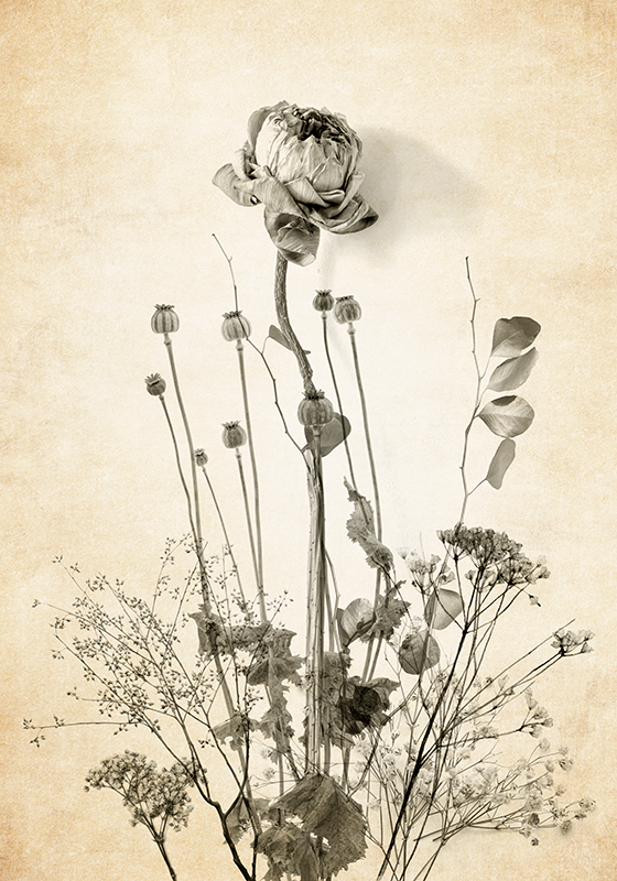 Blumenposter strauß von blumen auf beigem hintergrund - TenStickers