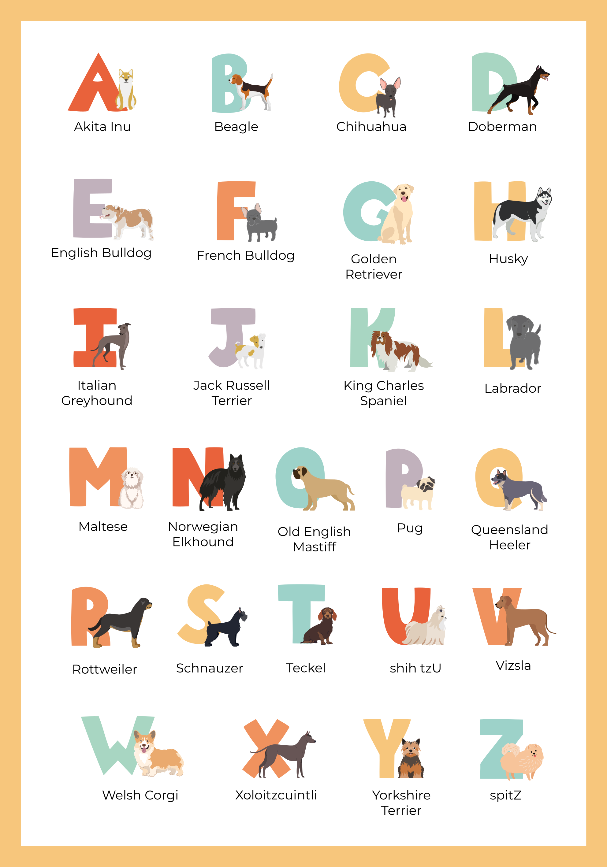 Hunde-Poster hunderassen AlphabetHunderassen Alphabet - TenStickers