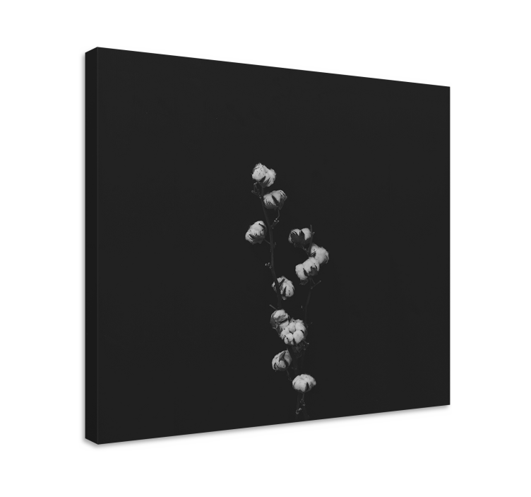 Leinwandbild anmutige botanische komposition - TenStickers