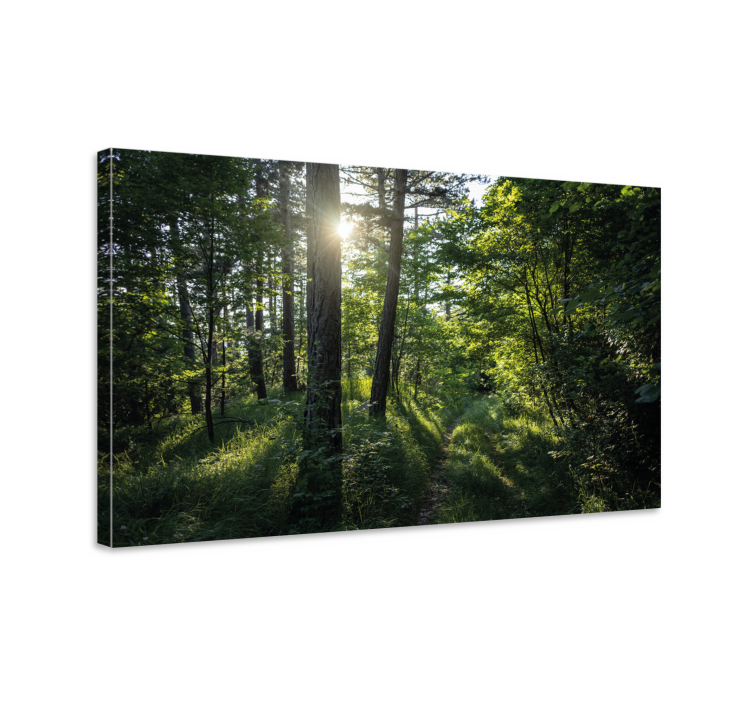 Wandbilder landschaft leuchtender waldweg - TenStickers