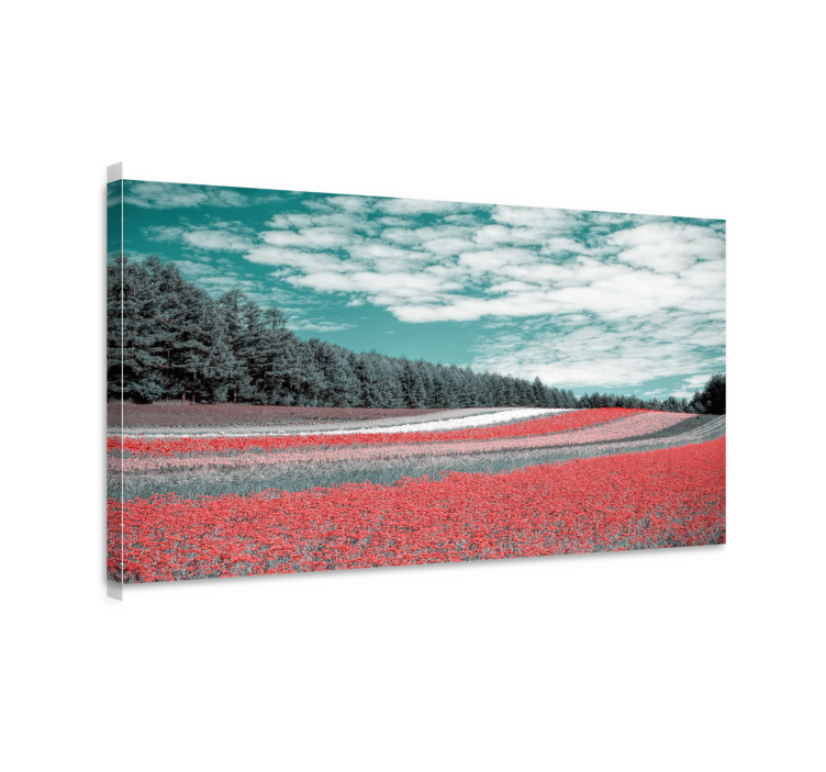 Wandbilder landschaft lebhaftes blumenfeld - TenStickers