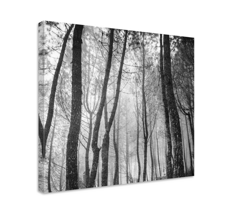 Wandbilder Landschaft Nebelwald von oben - TenStickers