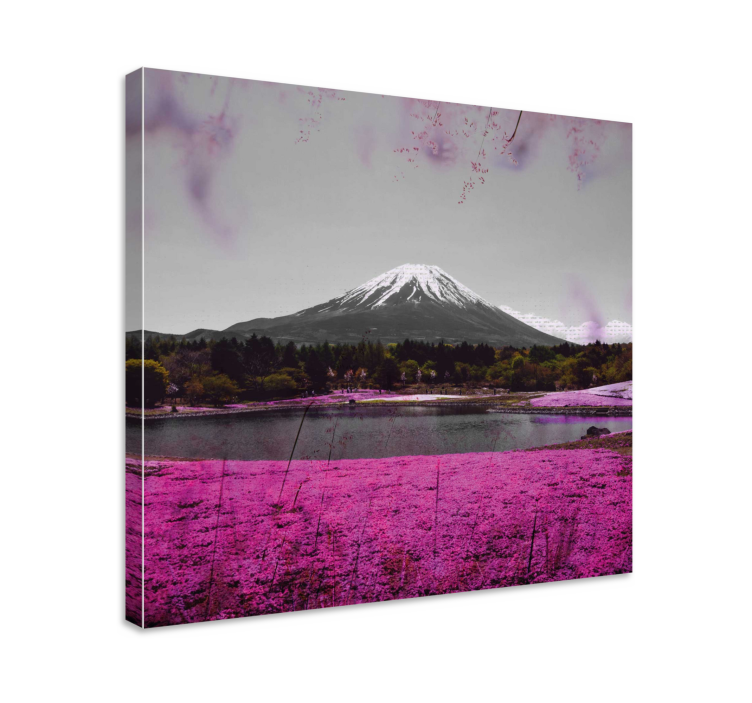 Wandbilder landschaft fuji spiegelung - TenStickers