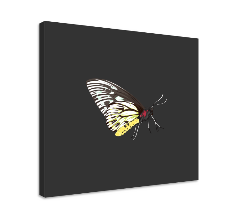 Wandbild schmetterling elegantes schmetterlingsprofil - TenStickers