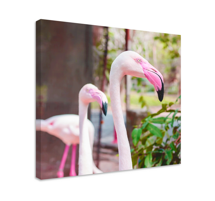 Leinwandbild vogel elegante flamingos gemeinsam - TenStickers