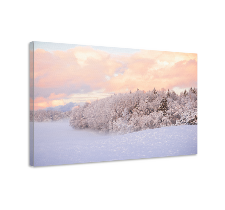 Wandbilder landschaft winterliche ruhe - TenStickers