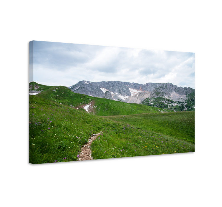 Wandbilder landschaft ruhiger bergweg - TenStickers