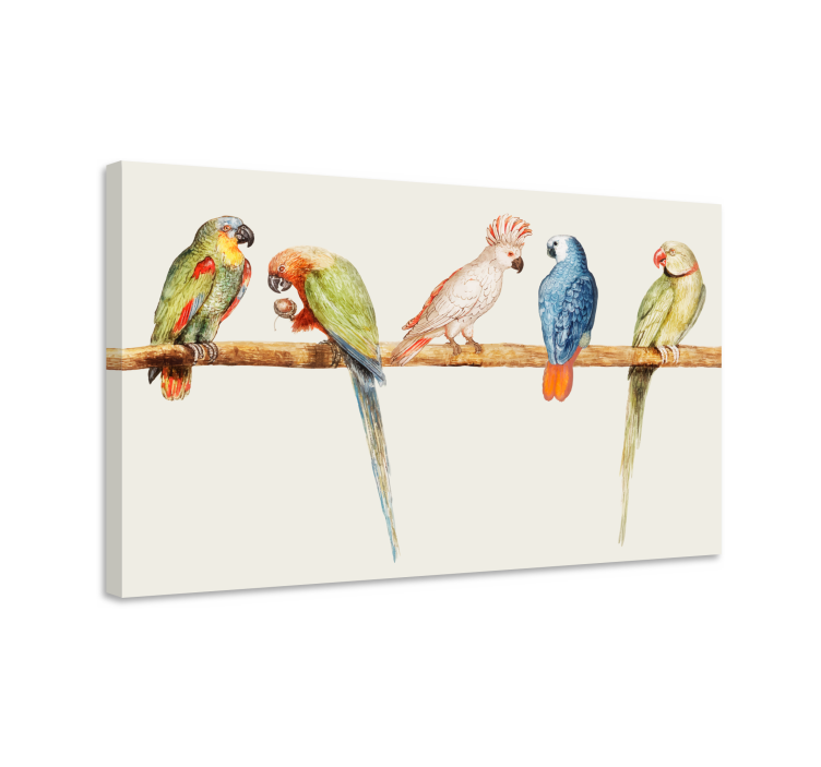 Leinwandbild vogel bunte papageienkollektion - TenStickers
