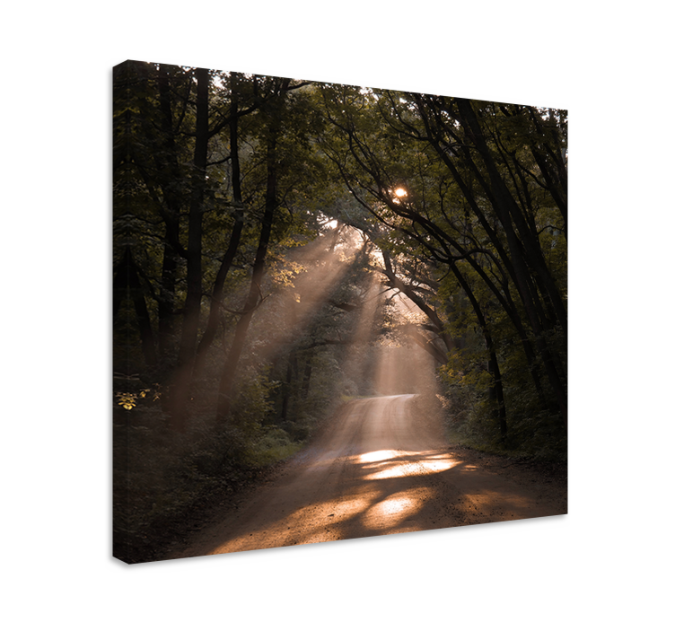 Wandbilder landschaft sonnenschein waldweg - TenStickers