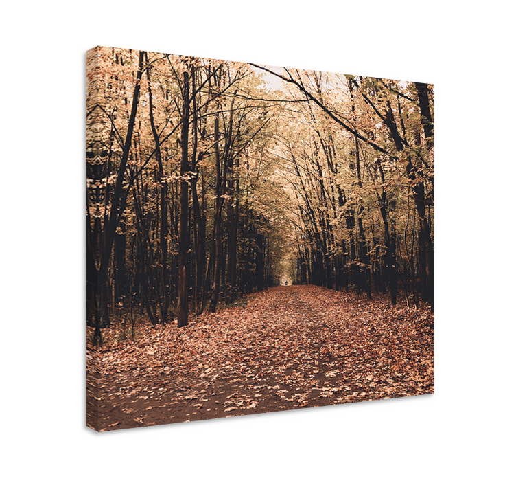 Wandbild Baum Natur schöner wald im herbst - TenStickers