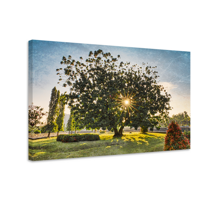 Wandbild baum majestätische baum-silhouette - TenStickers